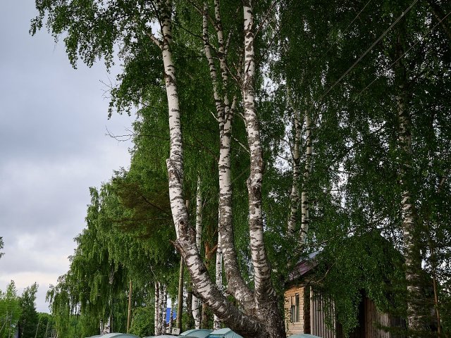 Великорецкий крестный ход — фото 162