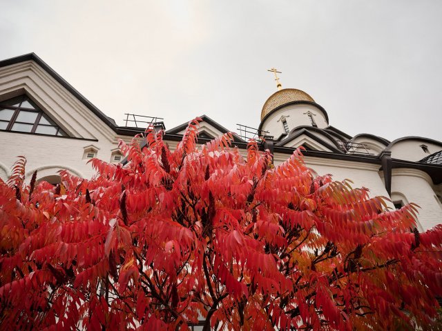 Краски осени